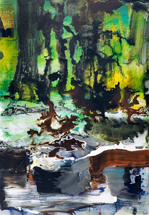 swamp landscape