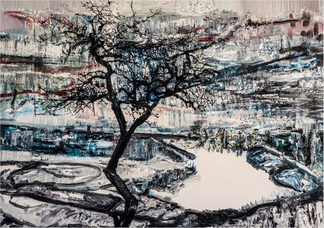 arctic circle landscape 1