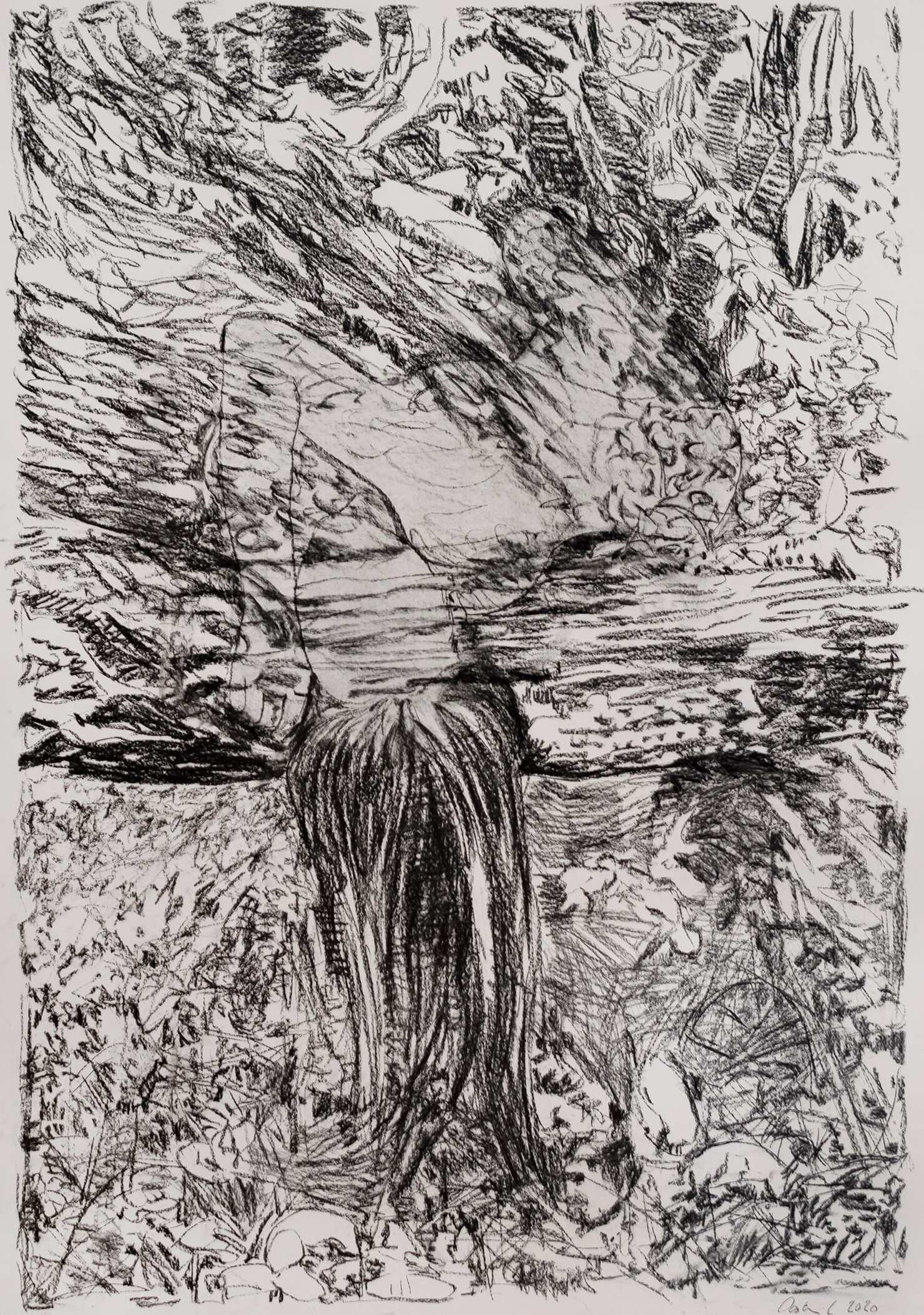 Mira chameleon charcoal 2