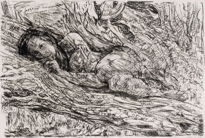 Mira chameleon charcoal 1