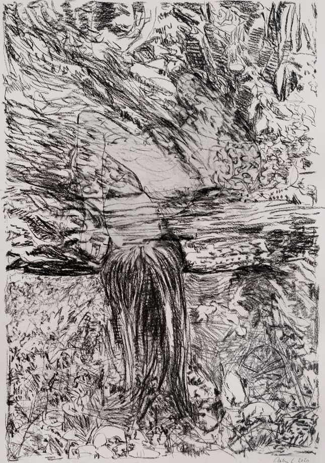 Mira chameleon charcoal 2
