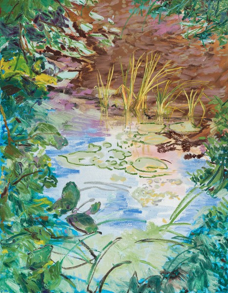 Where the water rest